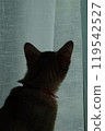 Beautiful silhouette of Abyssinian kitten 119542527