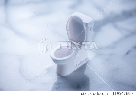 A clean miniature toilet placed on a marble background A clean miniature toilet placed on a marble background 119542699