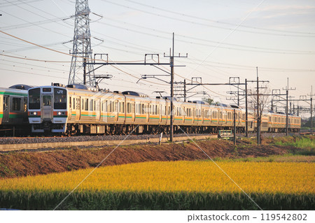 東北本線 東鷲島栗橋 JR東日本211系C16編組（高崎） 119542802
