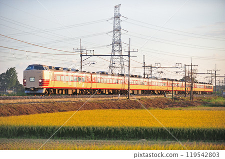 東北本線 東鷲宮栗橋 JR東日本 183系 H81編組（田町）組 119542803