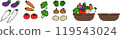 Handwritten style vegetables 119543024