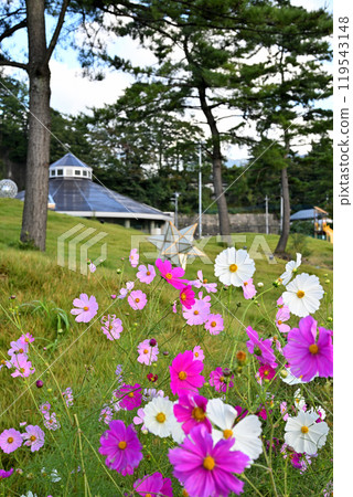 Cosmos道之休息站水上水器公館附近的風景 119543148