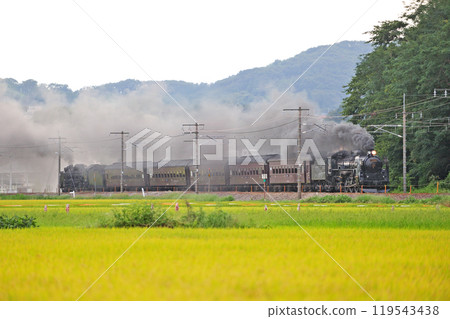 Shinetsu Main Line Annaka-Gunma Yawata JR East C61-20 + old passenger car + D51-498 (Takasaki) SL Retro Usui Shinetsu Main Line Annaka-Gunma Yawata JR East C61-20 + old passenger car + D51-498 (Takasaki) SL Retro Usui 119543438