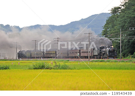 Shinetsu Main Line Annaka-Gunma Yawata JR East C61-20 + old passenger car + D51-498 (Takasaki) SL Retro Usui 119543439