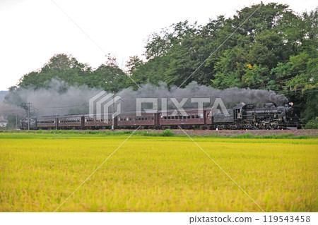Shinetsu Main Line Annaka-Gunma Yawata JR East C61-20 + old passenger car + D51-498 (Takasaki) SL Retro Usui 119543458