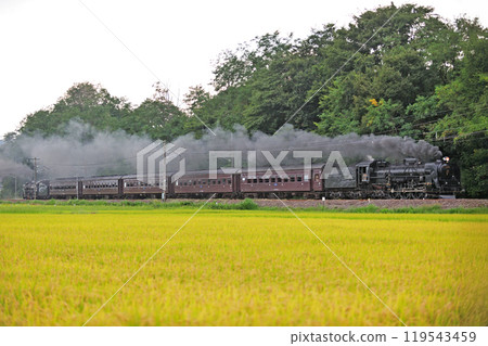 信越本線 安中～群馬八幡 JR東日本 C61-20+老旅客+D51-498（高崎）SL復古臼井 119543459