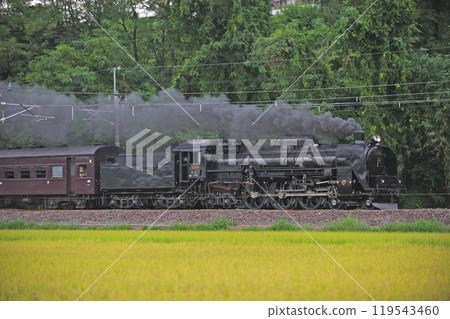 信越本線 安中～群馬八幡 JR東日本 C61-20+老旅客+D51-498（高崎）SL復古臼井 119543460