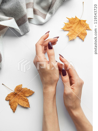 Elegant hands with dark nail polish elegantly arranged among autumn leaves and a cozy blanket Elegant hands with dark nail polish elegantly arranged among autumn leaves and a cozy blanket 119543720