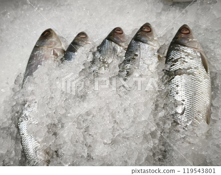 Fresh fish on ice displayed at the supermarket. Fresh fish on ice displayed at the supermarket. 119543801