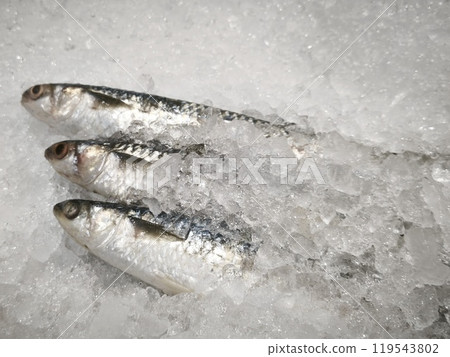 Fresh fish on ice displayed at the supermarket. 119543802