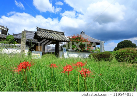 河原寺遺址三門和紅蜘蛛百合 119544835