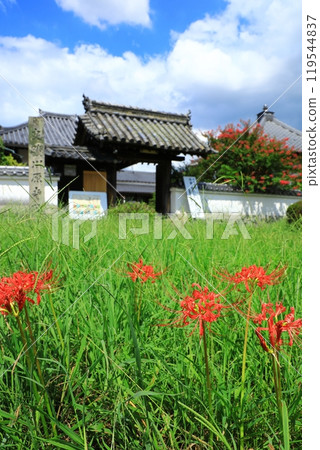 Kawaradera Temple ruins: Mountain gate and red spider lilies Kawaradera Temple ruins: Mountain gate and red spider lilies 119544837