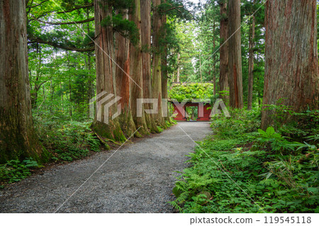 瑞神門和奧社神社參道兩旁的杉樹【戶隱神社】 瑞神門和奧社神社參道兩旁的杉樹【戶隱神社】 119545118