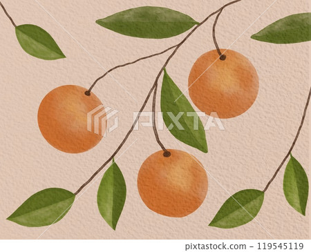 fruit background fruit background 119545119