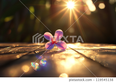 Flower on Wooden Floor with Beautiful Light Flare 119545138