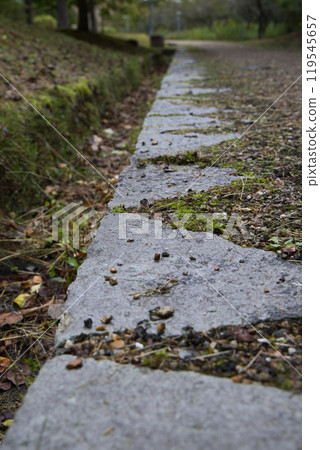 Moss-covered gutter Moss-covered gutter 119545657