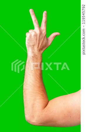 human arm gesturing with raised fingers against a bright green backdrop human arm gesturing with raised fingers against a bright green backdrop 119545792