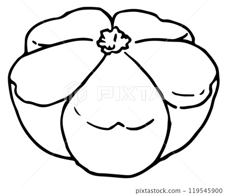 櫻花練切線描 119545900