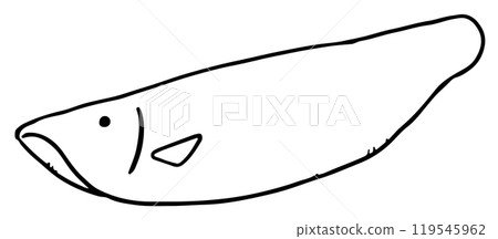 Young sweetfish line drawing 119545962