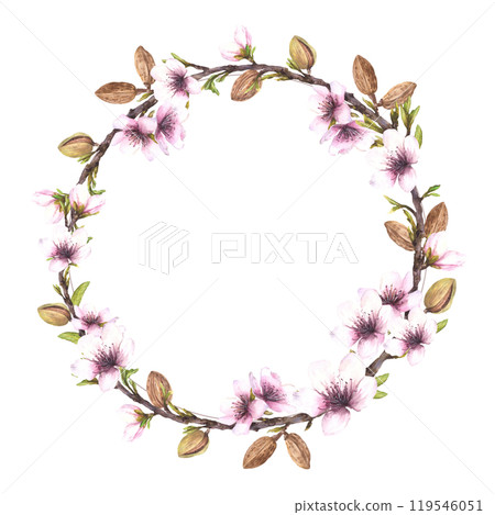 Watercolor Almond tree branch with nuts, leaves and flowers. Botanical spring wreath, circle frame. Hand drawn illustration. Floral clipart. Template for card, cosmetic label on isolated background. 119546051