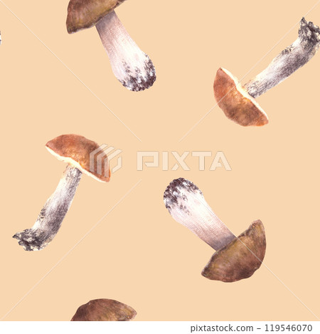 Watercolor Mushrooms seamless pattern. Edible sorts of fungi forest harvest. Hand drawn porcini, Boletus with orange and brown cap, fungus Fall clipart fabric Illustration isolated coloured background 119546070