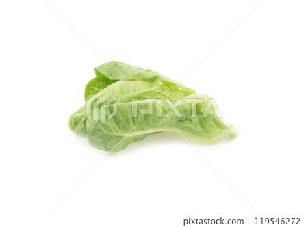 Cos Lettuce on white background Cos Lettuce on white background 119546272