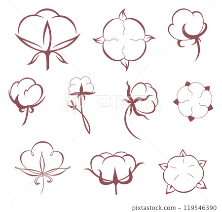 Cotton icons. Collection symbol of natural certified producing of clothes. Line art style sign or badges for natural fabric. Hand-drawn illustration isolated on white background 119546390
