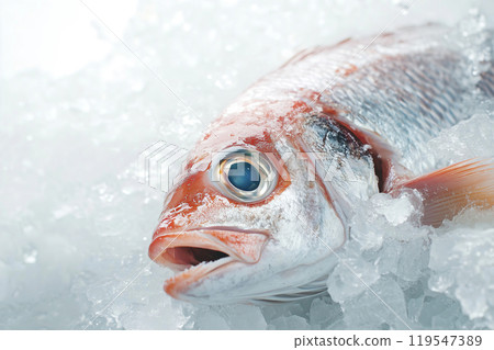 Fresh fish displayed on ice at a market showcasing its vivid features under natural light in the 119547389