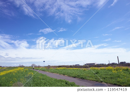 Cycling Road Cycling Road 119547419