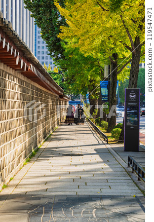 秋天的首爾景福宮 119547471