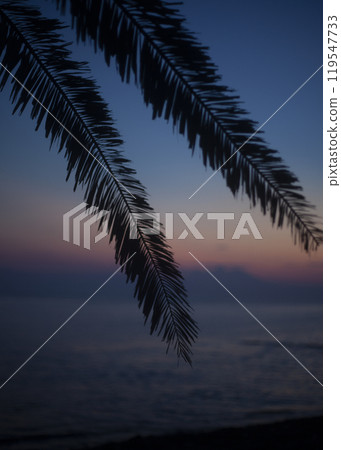 Sunset sea Sunset sea 119547733