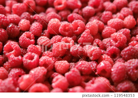 Sweet raspberry background. Full frame of fresh raspberries. Red ripe berry photo wallpaper closeup. Juicy berries. Vegetarian, vegan raw food. Organic bio product. From farm to table. Fruit pattern Sweet raspberry background. Full frame of fresh raspberries. Red ripe berry photo wallpaper closeup. Juicy berries. Vegetarian, vegan raw food. Organic bio product. From farm to table. Fruit pattern 119548353