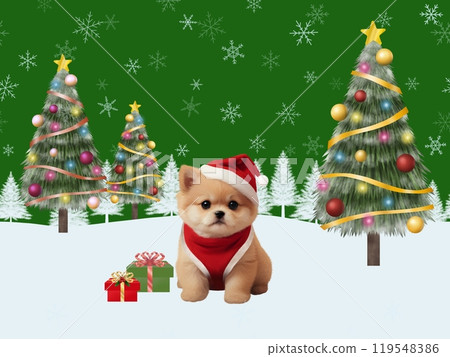 Christmas background (Pomeranian) A-3 119548386