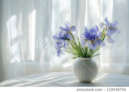 A vase of delicate purple irises on a table illuminated by natural light through sheer curtains in a 119548756