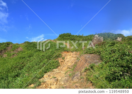 谷川山的夏日風景（西黑一） 119548950