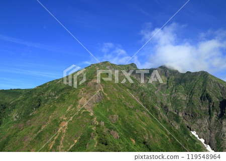 Summer scenery of Mt. Tanigawa (Nishikuro Ridge) 119548964