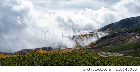 Passing through the autumnal forest at Mt. Norikura 119549010