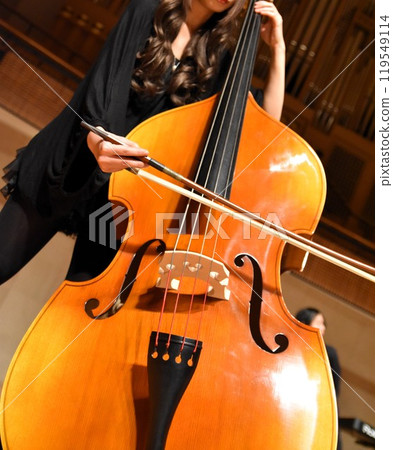 A woman wearing black clothes playing the double bass A woman wearing black clothes playing the double bass 119549114