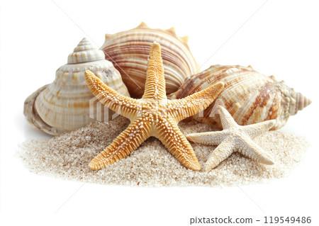 Colorful seashells and starfish arranged on sandy beach, showcasing nature's beauty and ocean 119549486