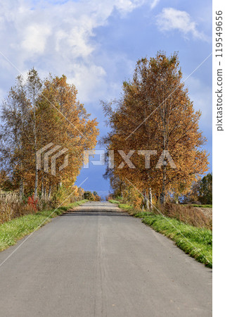 北海道美瑛町秋葉之路 119549656