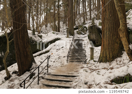 山形縣：白雪覆蓋的山寺立石寺的參道 119549742