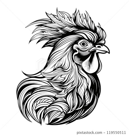 Black silhouette, tattoo of a head of a hen, rooster on white background. Vector. Black silhouette, tattoo of a head of a hen, rooster on white background. Vector. 119550511