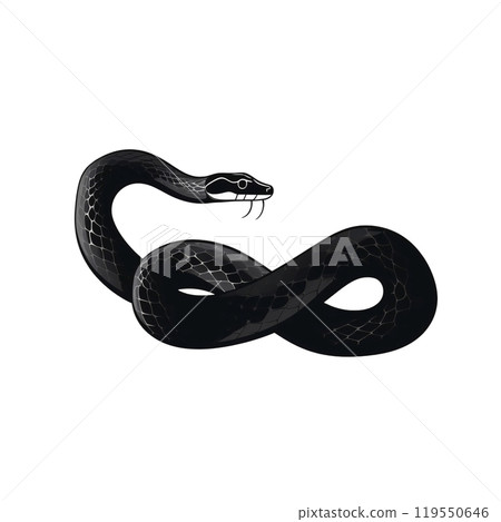 Black silhouette, tattoo of a snake on white isolated background. Vector. 119550646