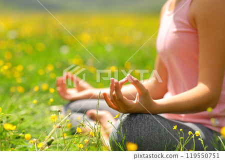 Yogi hands exercising yoga in a field 119550751