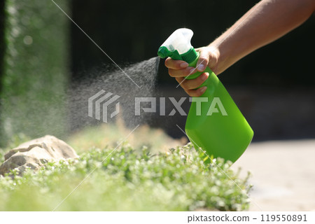 Woman hand spraying insecticide over plants in a garden Woman hand spraying insecticide over plants in a garden 119550891
