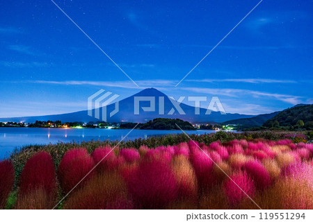 [Yamanashi Prefecture] Oishi Park, Lake Kawaguchi in the moonlight, autumn leaves of kochia and Mt. Fuji, before dawn 119551294