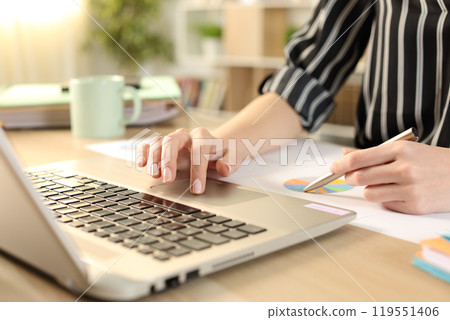 Entrepreneur hands comparing graph report on laptop 119551406