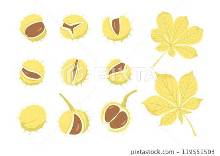 Hand drawn chestnuts and leaves set 119551503