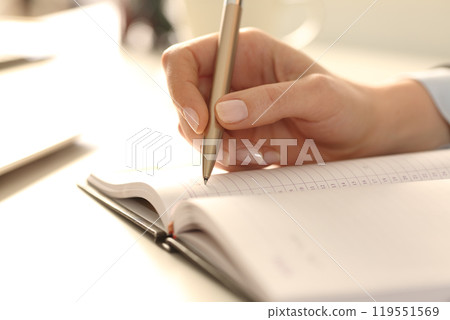 Executive woman hands writing appointment on agenda 119551569