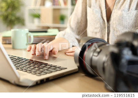 Photographer hands connecting camera and laptop 119551615